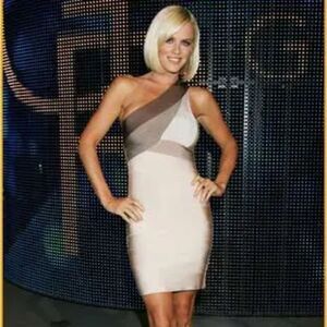 Herve Leger One Shoulder Mini Bandage Dress Ombré Tan Brown Size XS
